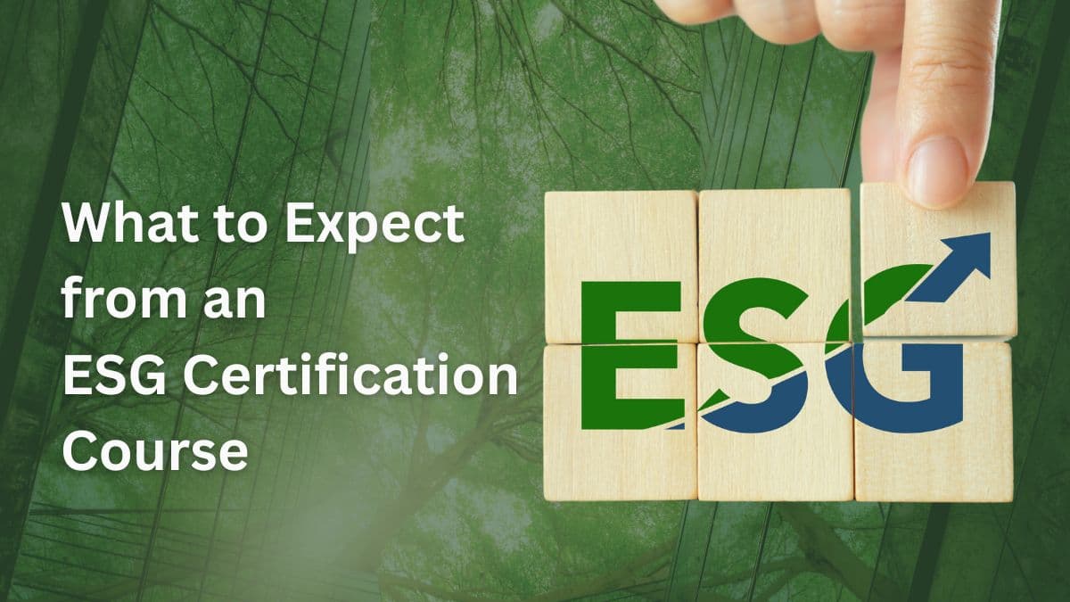 What to expect ESG Certification.jpg